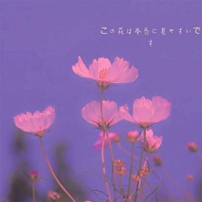 BOB最新版本下载