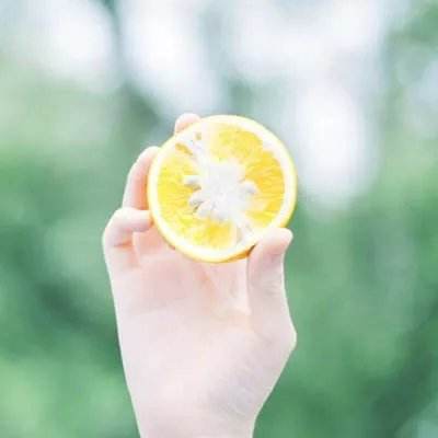 BOB最新版本下载